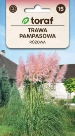 trawa-pampasowa-rozowa-cortaderia-piekna-01g