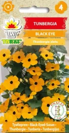 tunbergia-black-eye-pomaranczowa-1roczne-pnacze-05g
