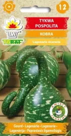tykwa-pospolita-kobra-wyjatkowo-ciekawe-owoce-6szt