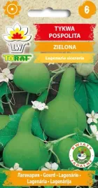 tykwa-pospolita-zielona-na-pergole-ploty-ozdobne-tykwy