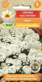 ubiorek-hiacyntowy-bialy-ladne-na-rabatki-i-obwodki-1g