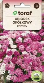 ubiorek-okolkowy-rozowy-ladne-kwiatki-na-rabatki-i-wazonu