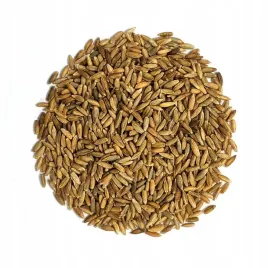zyto-ozime-poplon-1kg-agronas
