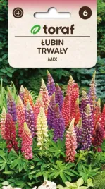 lubin-trwaly-mix-bylina-piekny-efekt-w-grupach-1g