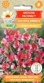 groszek-pachnacy-old-spice-america-ladne-pnacze-1g