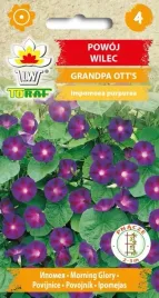 powoj-wilec-grandpa-ott-s-szybko-rosnie-do-3m-3g