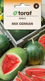unikalna-mieszanka-odmian-arbuzow-1g-owoce-vii-x