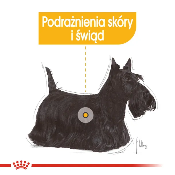 royal-canin-mini-dermacomfort-3kg-smak-inny-smak