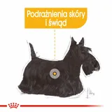 royal-canin-mini-dermacomfort-3kg-smak-inny-smak