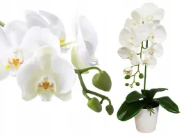 walentynki-storczyk-sztuczny-storczyki-kwiaty-orchidea