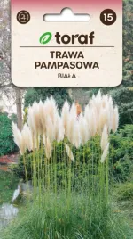 trawa-pampasowa-biala-cortaderia-piekna-01g