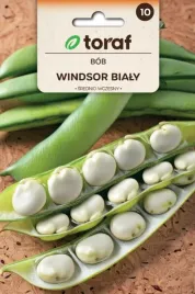 bob-windsor-bialy-50g-duze-biale-nasiona-smaczne