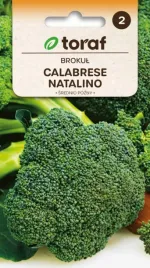 brokul-calabrese-natalino-1g-smaczny-zdrowy-zielony