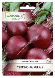 burak-cwiklowy-czerwona-kula-2-10g-werbena