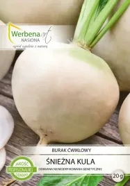 burak-cwiklowy-sniezna-kula-biala-odmiana-wyjakowo-smaczna-20g-werbenaart
