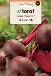 burak-d-egypte-10g-wczesny-soczysty-ladny-kolor