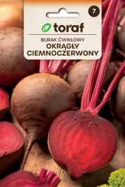 burak-okragly-ciemnoczerwony-duzo-witamin-20g
