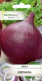 cebula-grenada-1g-werbena