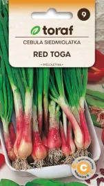 cebula-siedmiolatka-red-toga-1g-szczypiorek-na-lata