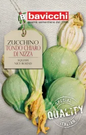 cukinia-tondo-chiaro-di-nizza-wloskie-nasiona-bavicchi-5g