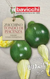 cukinia-tondo-di-piacenza-wloskie-nasiona-bavicchi-4g