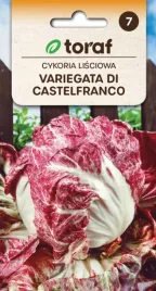 cykoria-variegata-di-castelfranco-5g-toraf