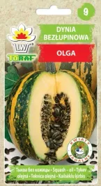 dynia-olga-bezlupinowa-nasiona-bez-lupin