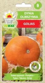 dynia-golias-duza-lekko-slodka-duzo-karotenu