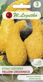 dynia-zwyczajna-ozdobna-yellow-croockneck-zlotozolte-1g