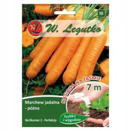 legutko-marchew-jadalna-berlikumer-2-na-tasmie-7-m