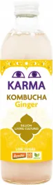 kombucha-z-imbirem-niska-zawartosc-cukrow-fair-for-life-demeter-bio-500-ml