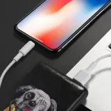 hoco-kabel-usb-a-do-apple-lightning-2a-x25-1m-bialy-zgodnosc-ze-standardem-quick-charge-1-0