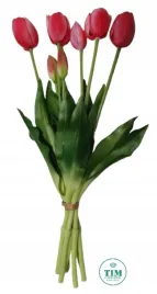 tulipan-bukiet-gumowany-rozowy-ciemny