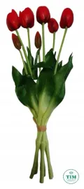tulipan-bukiet-gumowany-czerwony