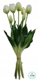 tulipan-bukiet-gumowany-bialy