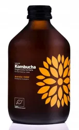 kombucha-z-acerola-i-imbirem-bezglutenowa-bio-330-ml-vigo