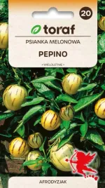 pepino-melon-cytryna-ananas-w-jednym-owocu-10szt