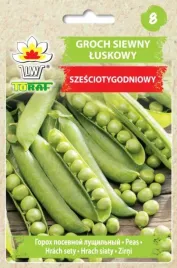 groch-szesciotygodniowy-50g-plenny-wczesny-slodki