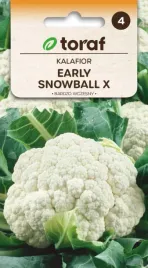 kalafior-early-snowball-x-1g-zdrowy-smaczny