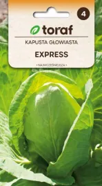 kapusta-express-stozkowa-bardzo-wczesna-duzo-witamin