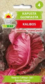 kapusta-kalibos-do-sorowek-kiszenia-i-salatek