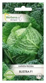 kapusta-wloska-blistra-prawdziwy-magazyn-przeciwutleniaczy-1g-werbenaart