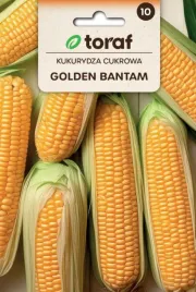 kukurydza-golden-bant-20g-slodka-delikatna-smaczna