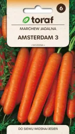 marchew-amsterdam-5g-zdrowa-smaczna-slodka-wczesn