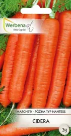 marchew-cidera-3g-werbena