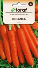 marchew-dolanka-duza-slodka-pozna-5g