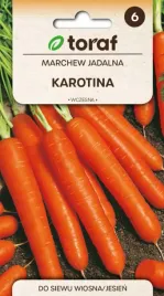 marchew-karotina-smaczna-dlugosci-nawet-20cm-5g