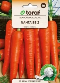 marchew-nantaise-2-nasiona-na-tasmie-6m