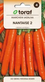marchew-nantaise-5g-na-soki-surowki-zaprawy