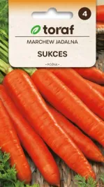 marchew-sukces-5g-nie-peka-duzo-karotenu-smaczna